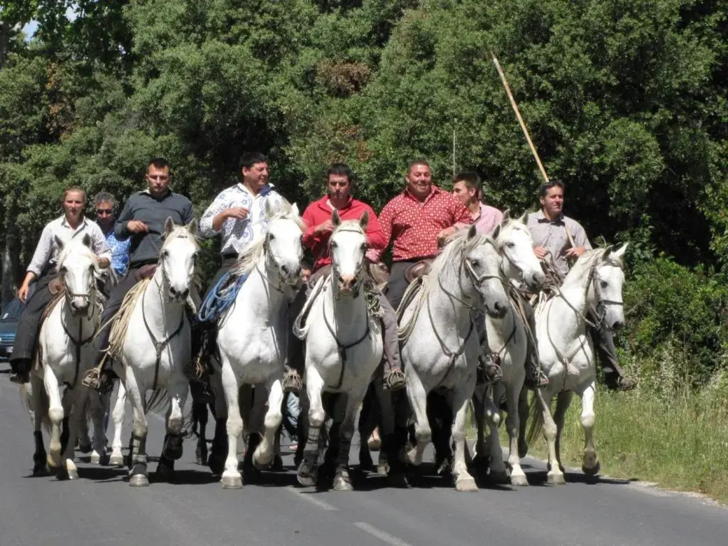 Domaine du bois gîte Marion