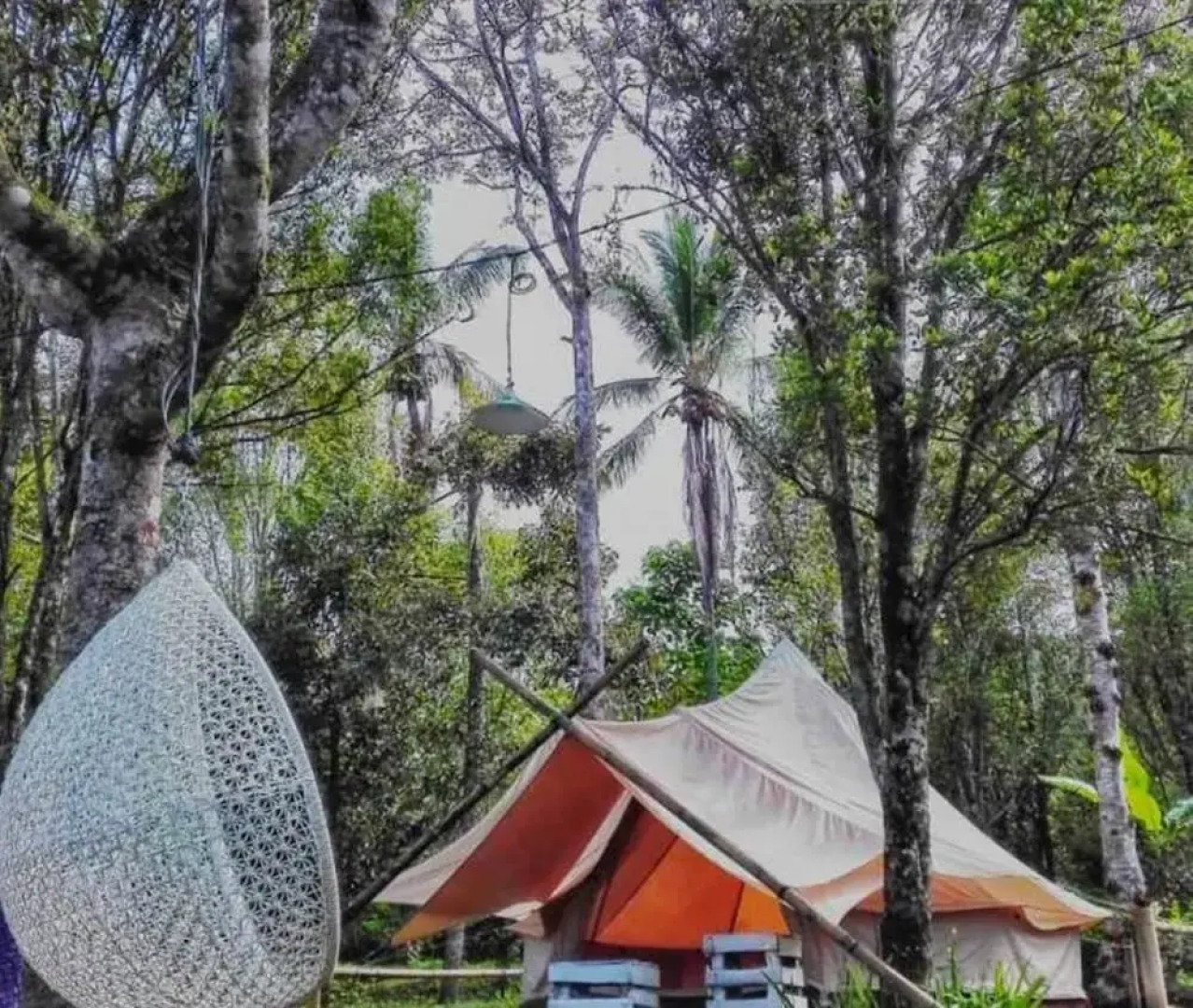 Damarwidi Glamping by Madhava