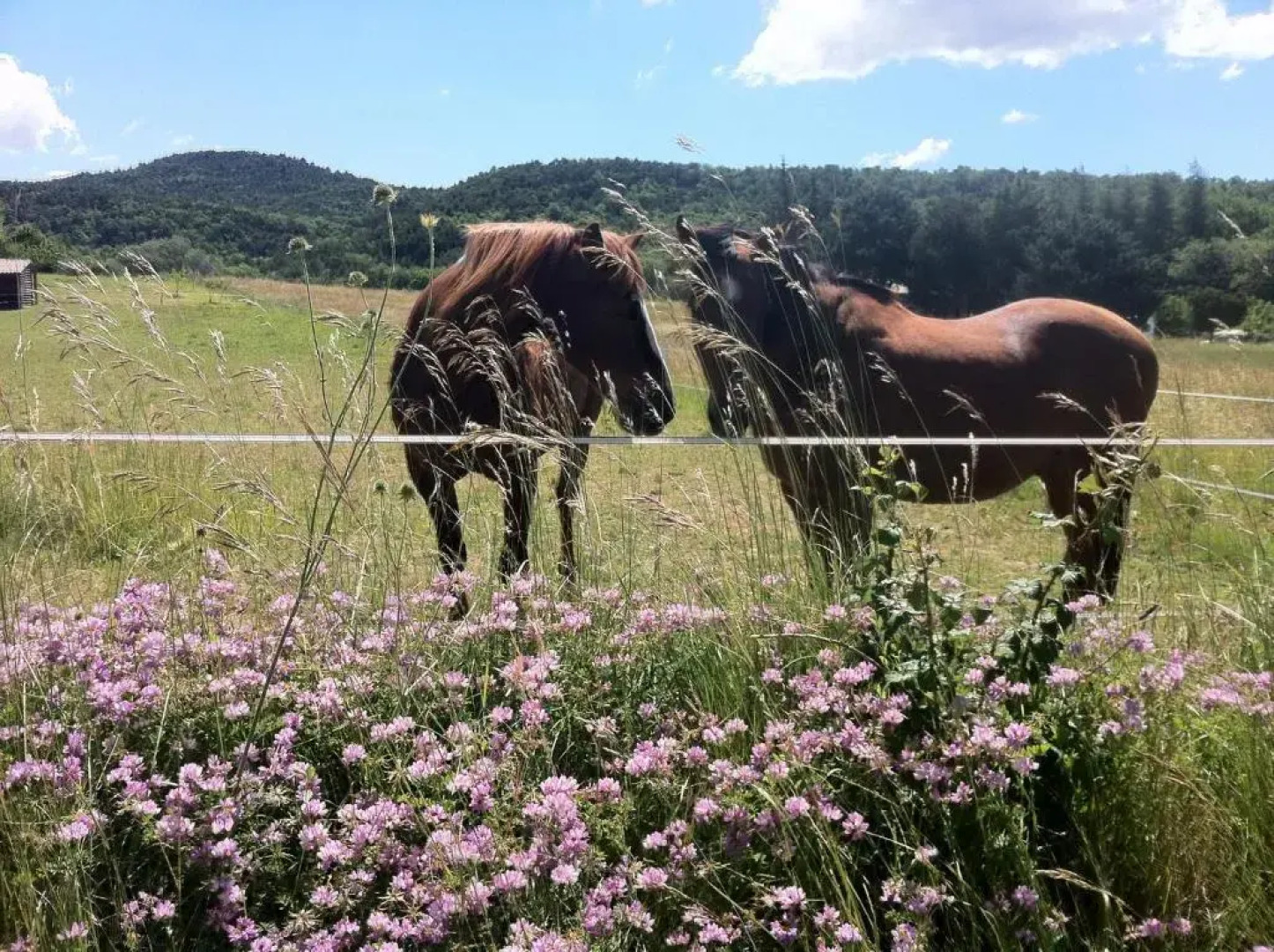 La Maison de Marie Jeanne