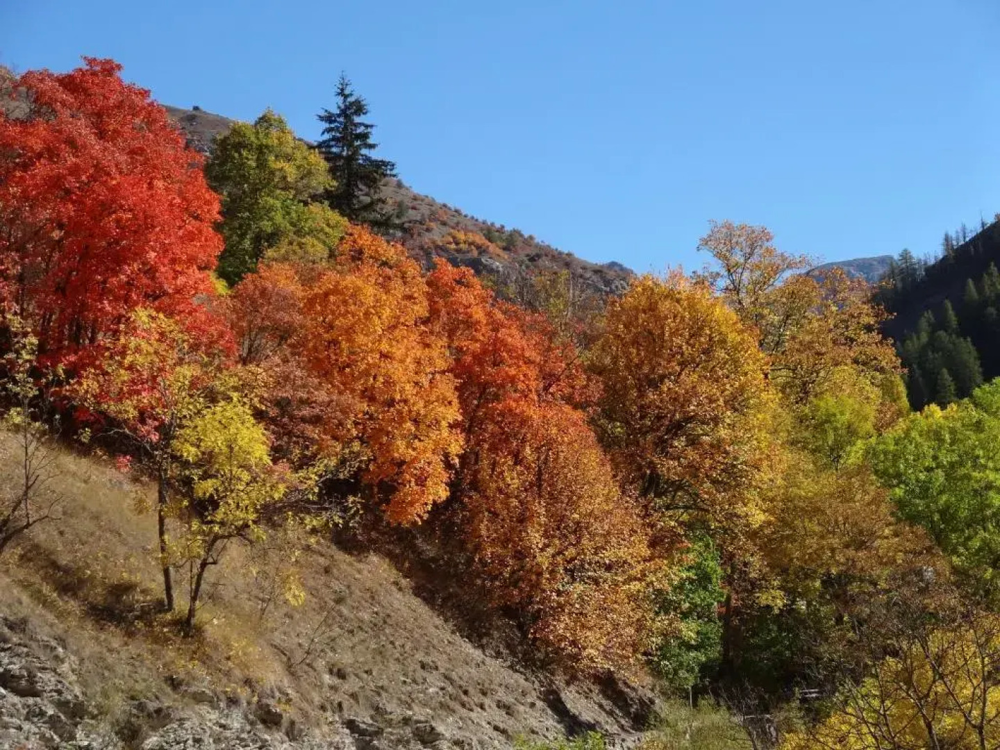 Maison dHôtes lArnica
