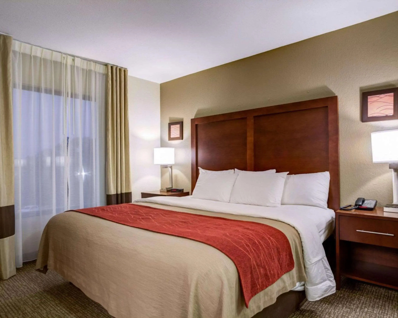 Comfort Inn & Suites Clemson - University Area