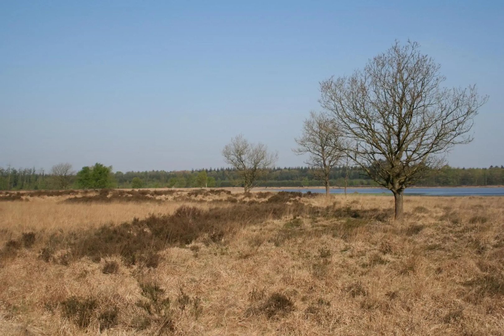 Vakantiehuis NamaStee