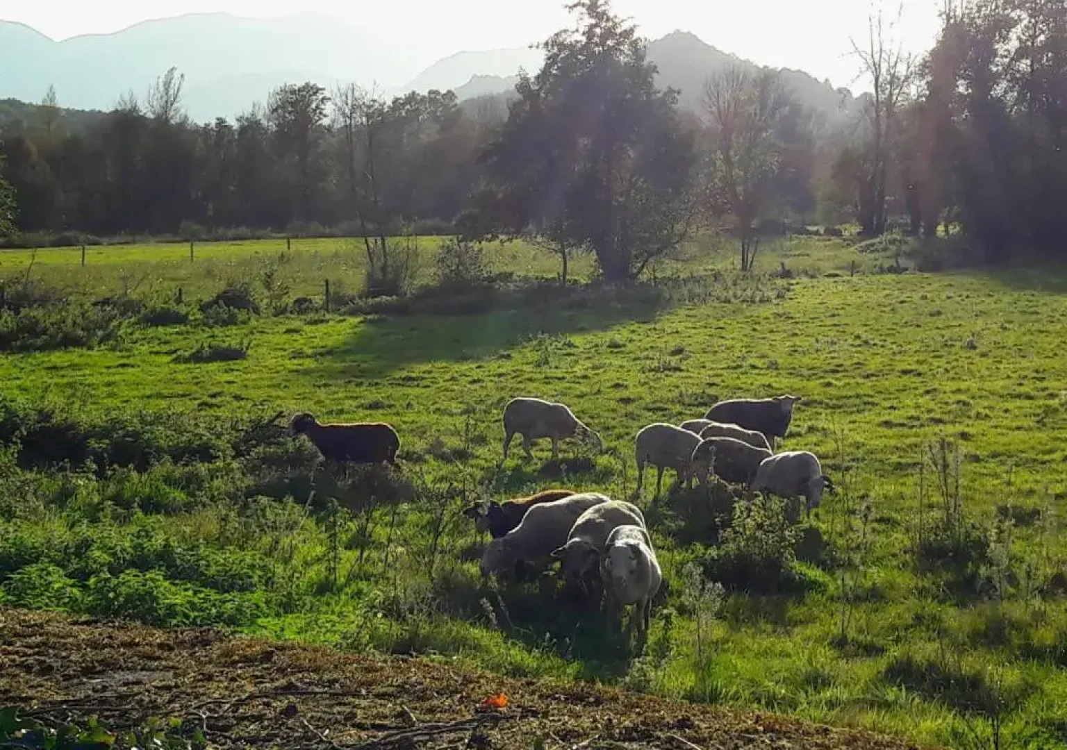 Domaine Lou Castet B&B