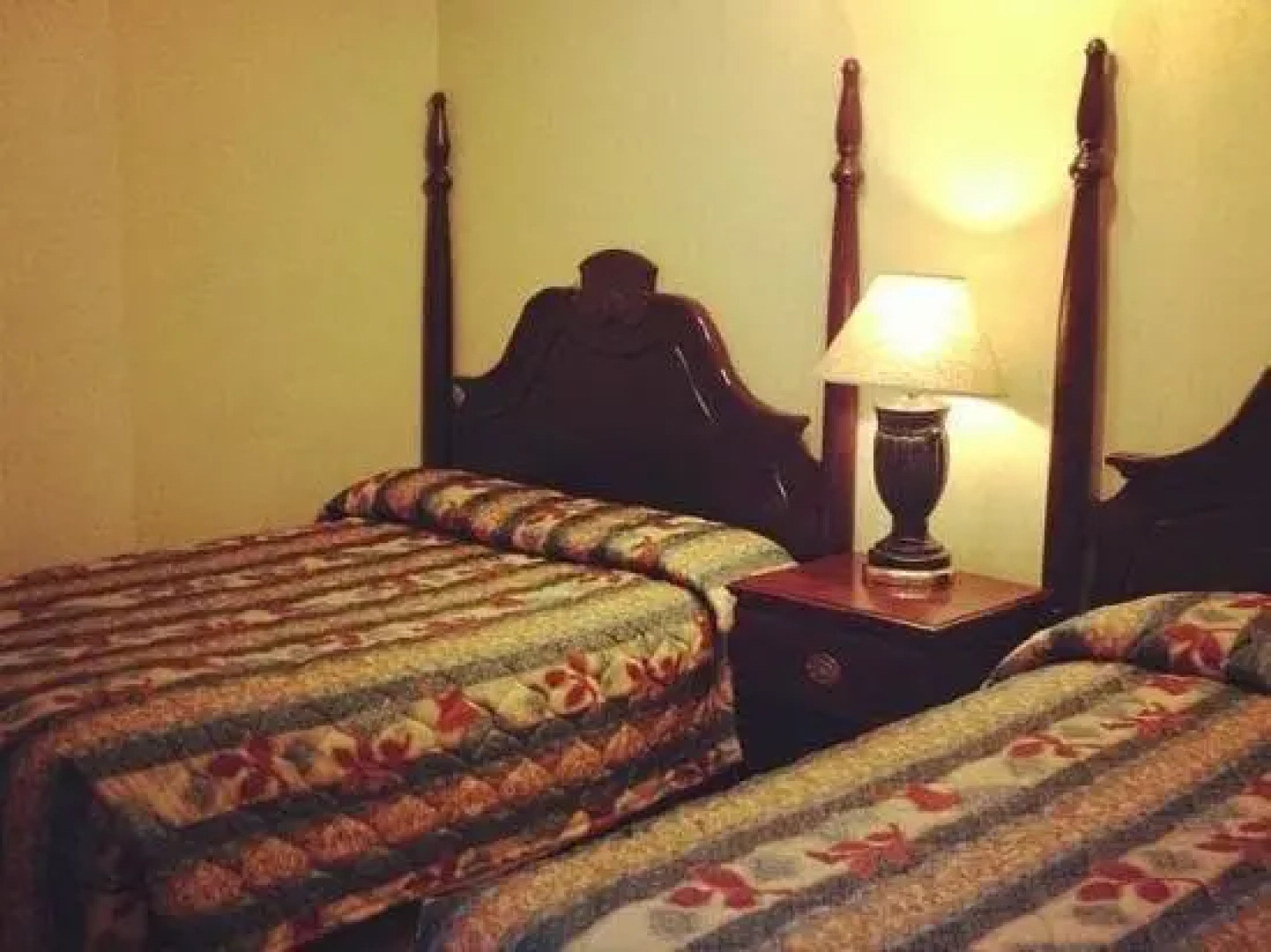 The Garden District House