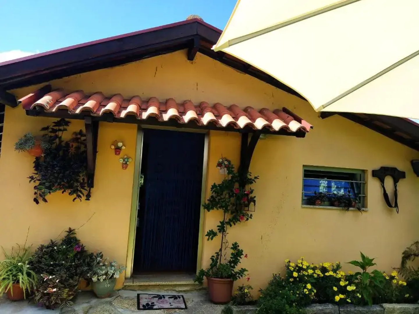 Quinta de Carcavelos Agroturismo e Enoturismo