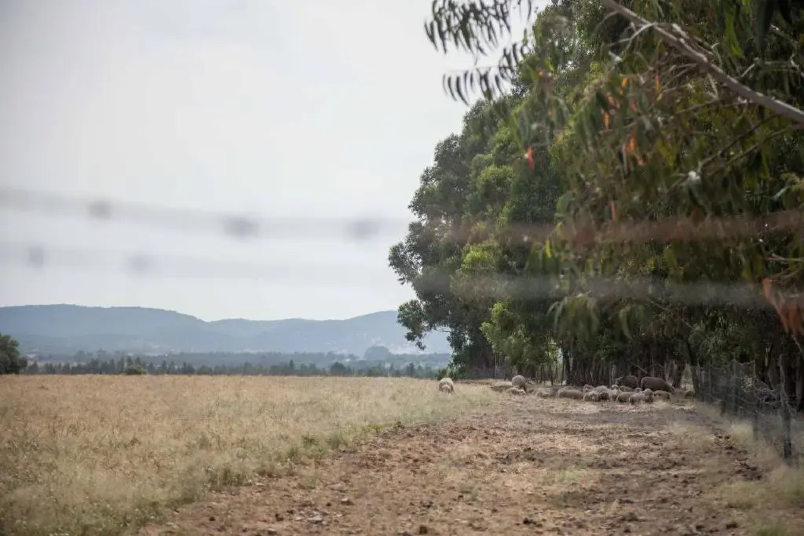 GuestReady - Herdade da Sexta Velha - Alentejo Wine Estate