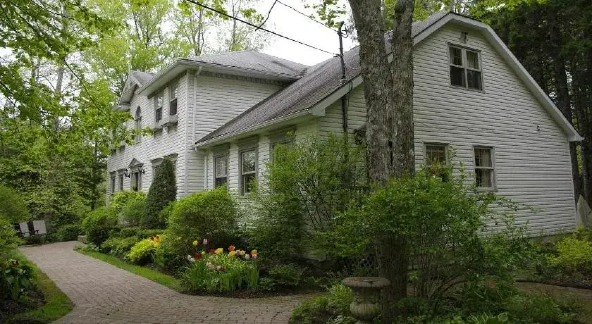 Blue Forest Lane Bed and Breakfast