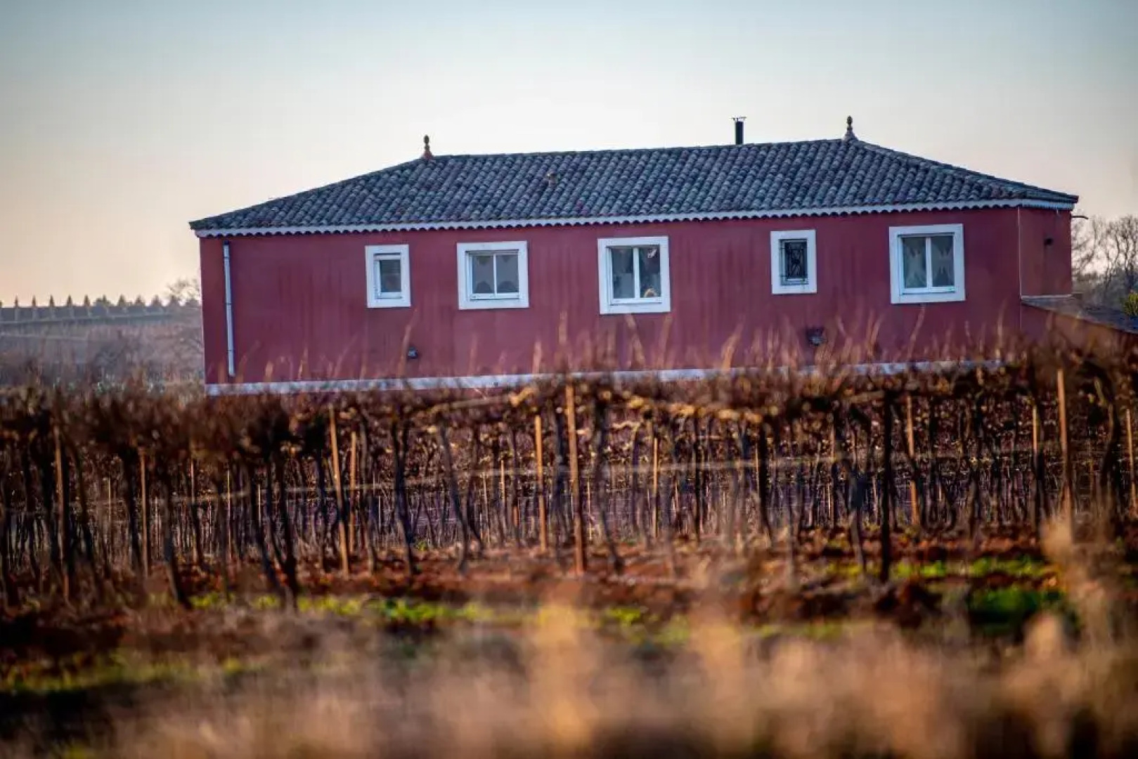 Villa Piscine au cœur des vignes