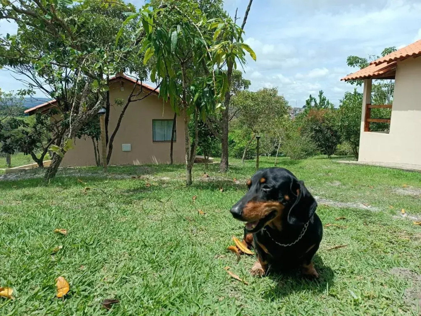 Toca Dos Coelhos Chales