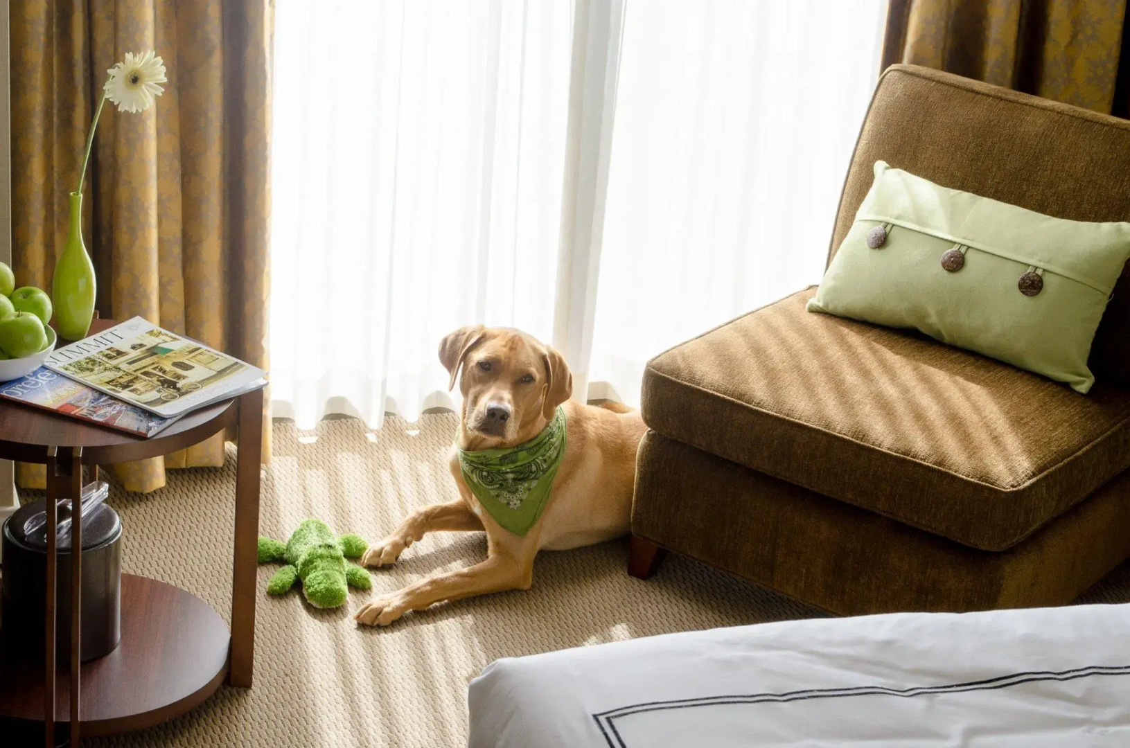 Radisson Blu Vancouver Airport Hotel & Marina