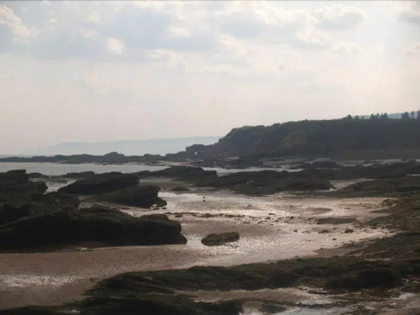 Fundy Rocks Motel and Chocolate River Cottages