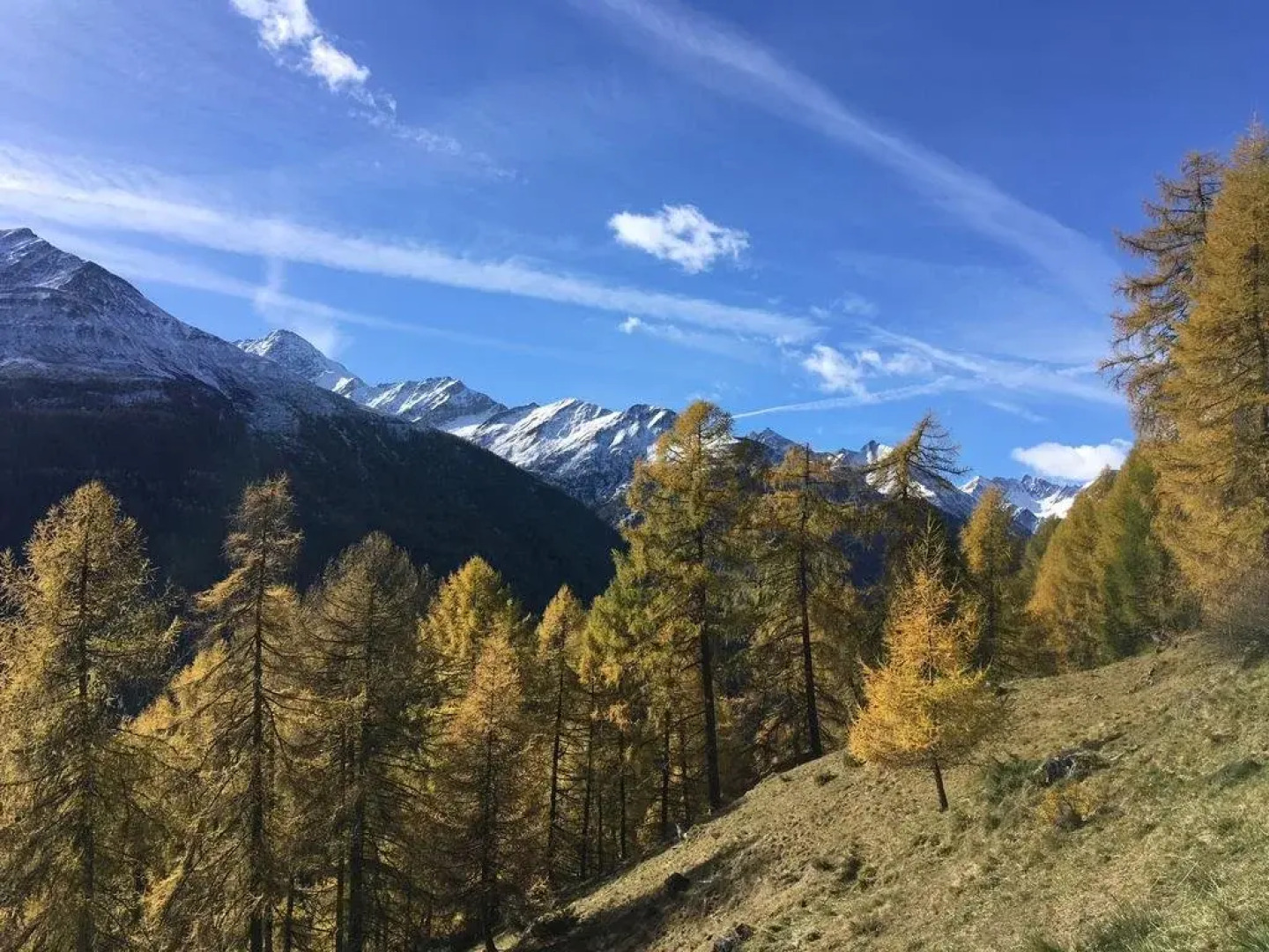 Pension - Café Schöne Welt