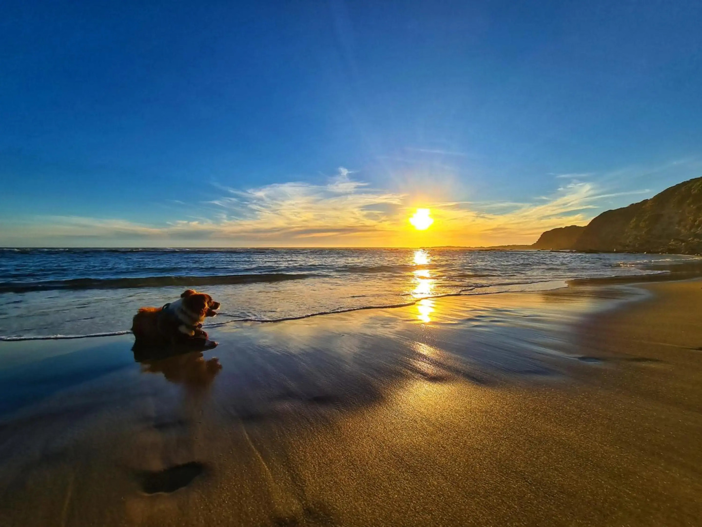 Luxurious Ocean front home, pets welcome, open fire large and spacious