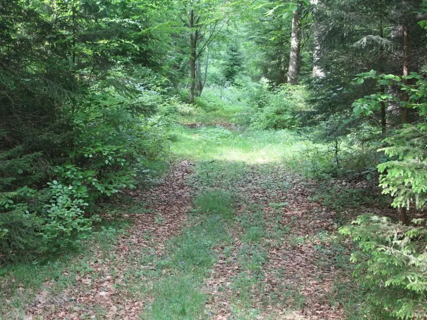 Pleasant Holiday Home in Bischofsreut near Forest