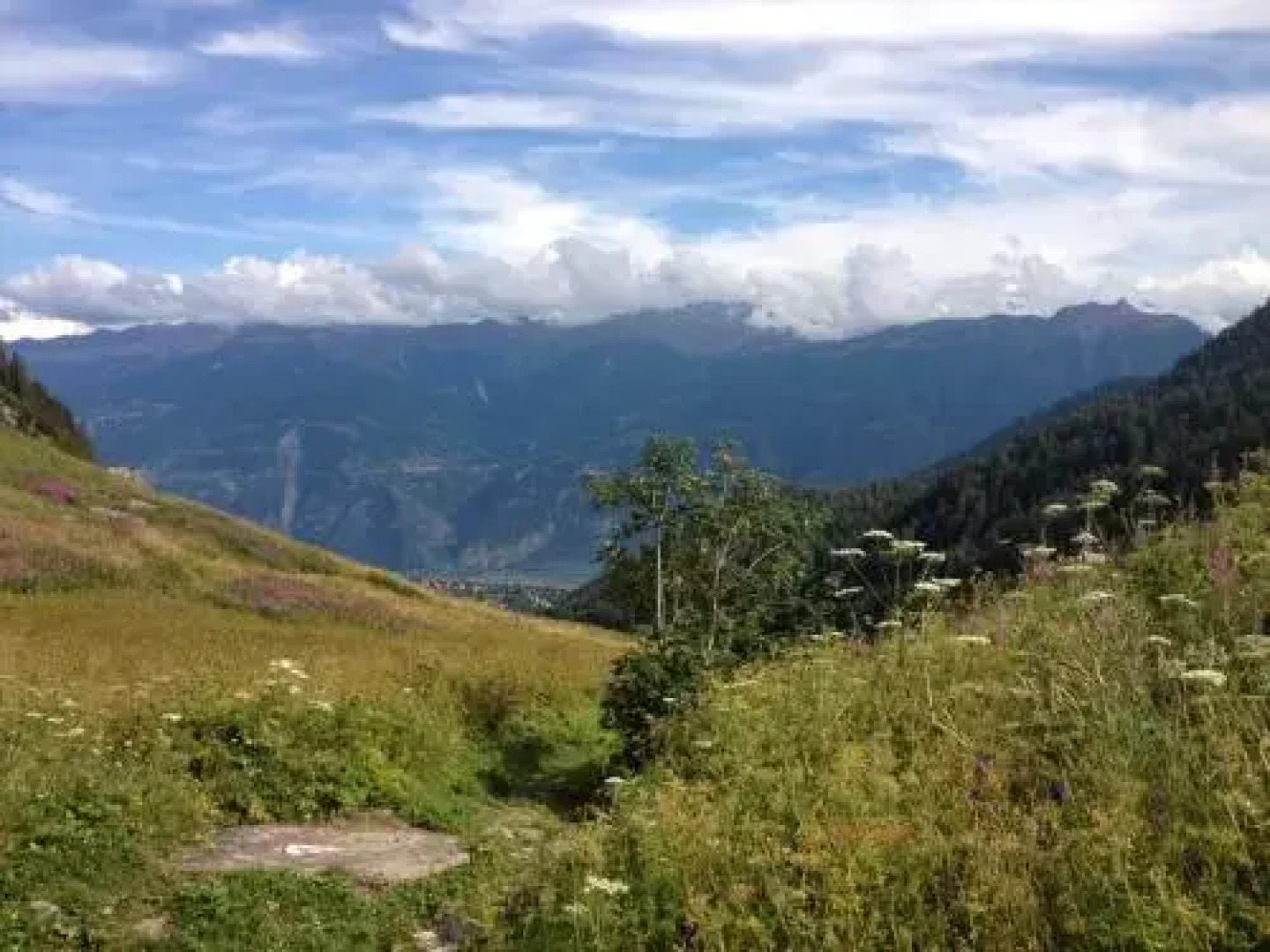 Maison dhôtes du Domaine des Roses