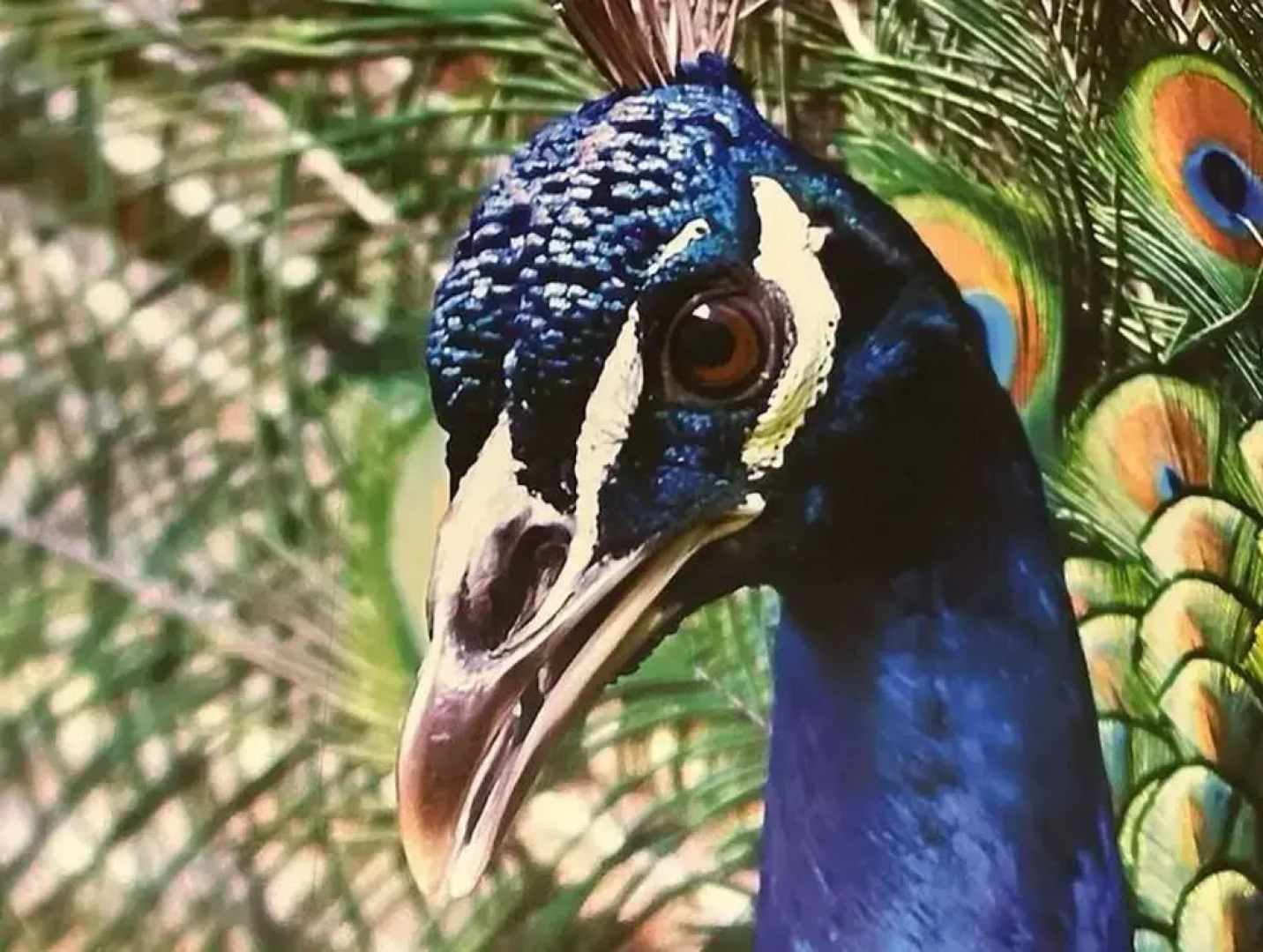 Family Apartment at Pfaffenteich