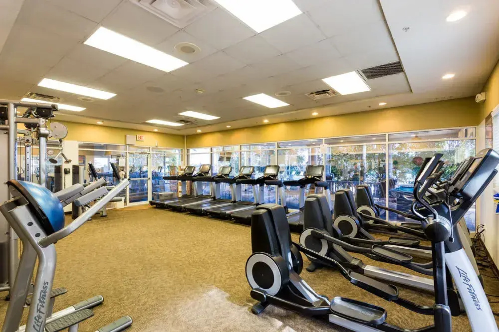 Reunion by 1791 Vacation Experience