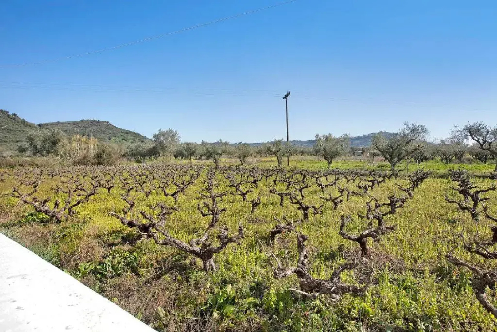 Zantegarden Apartment 4