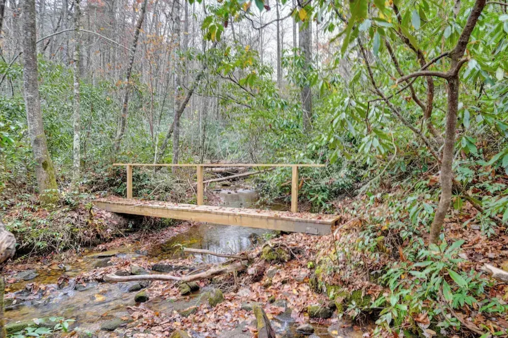 Creekside Family Retreat by Waterfalls & Hiking!