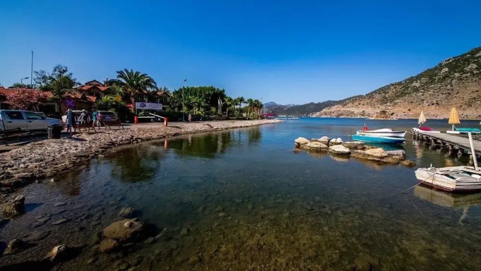 Palmetto Resort Hotel