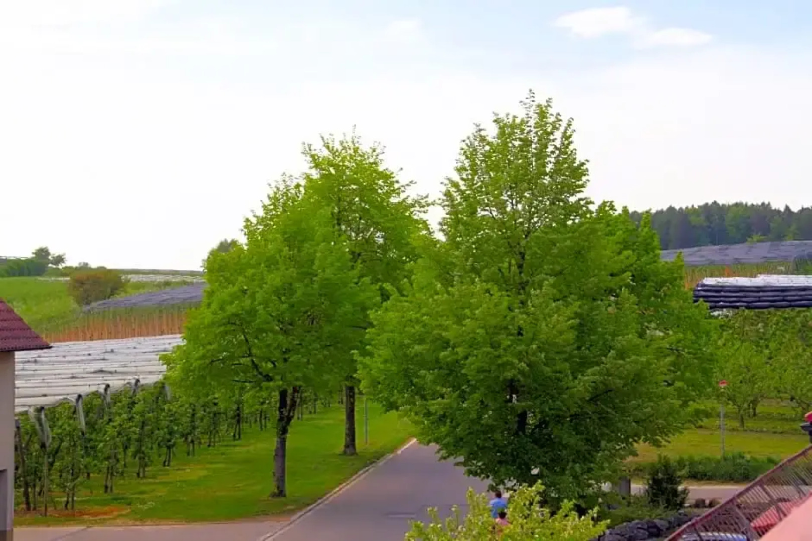 Waldvogel Ferienzimmer