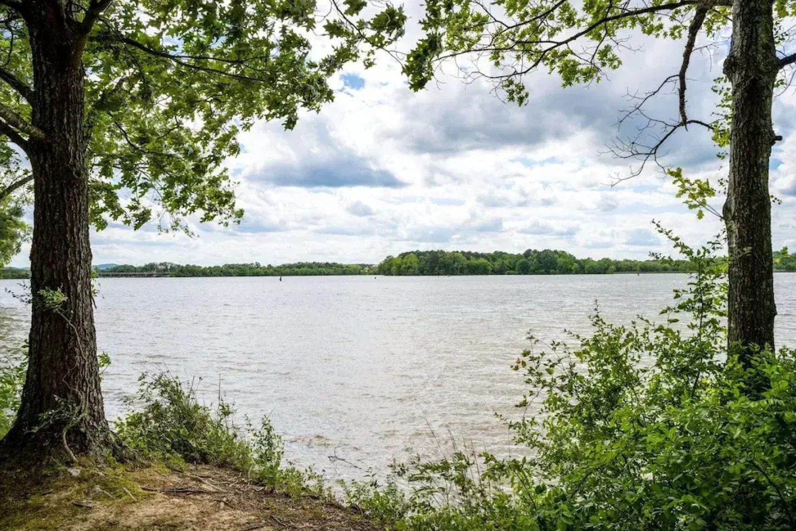 Super 8 Motel - Gadsden