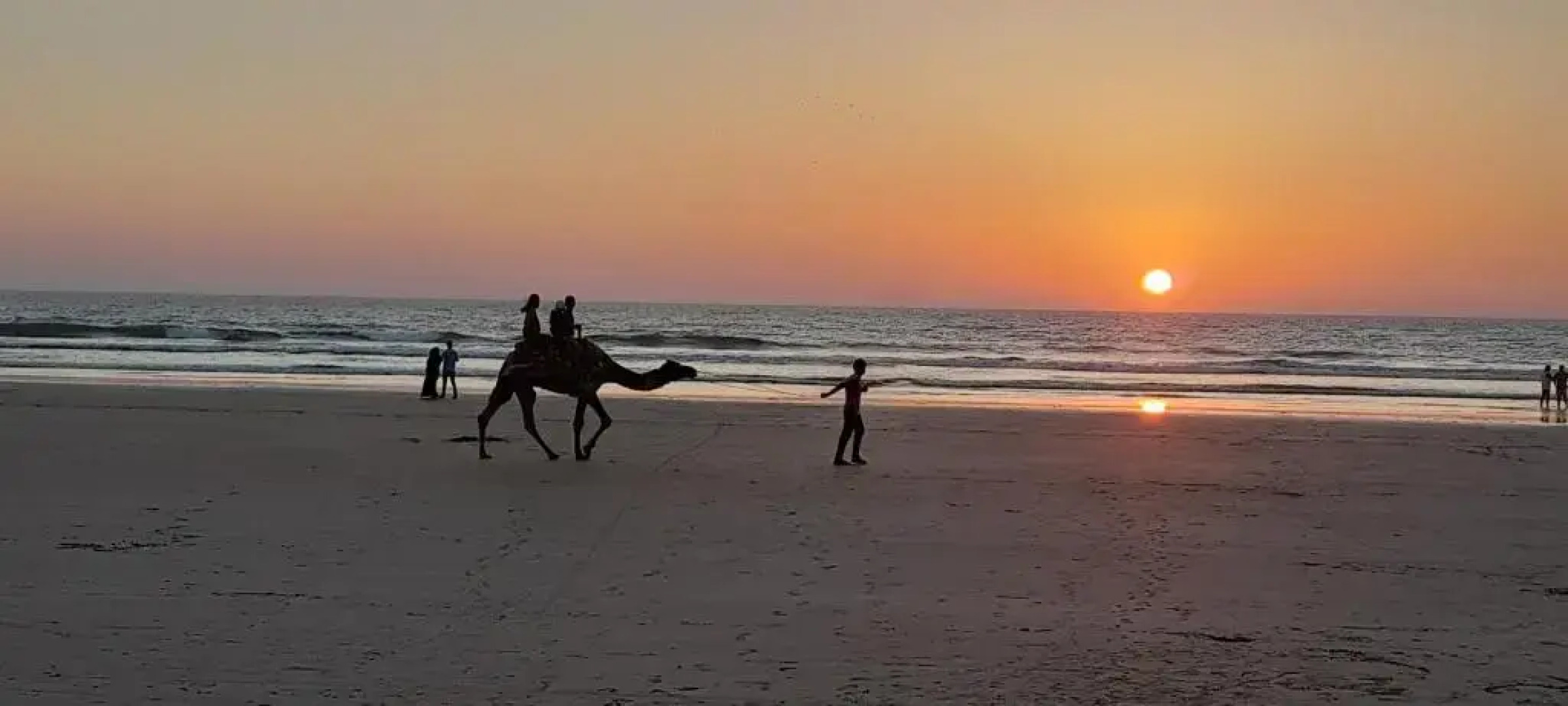 The Woods Beach House