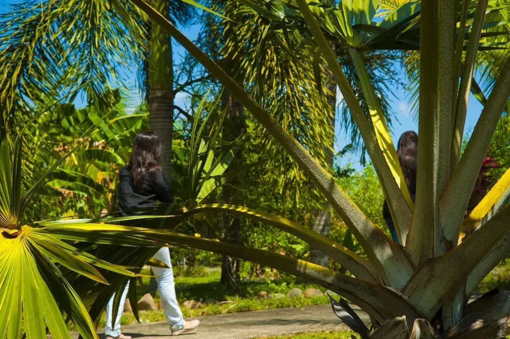 Hato Viejo Boutique Hotel