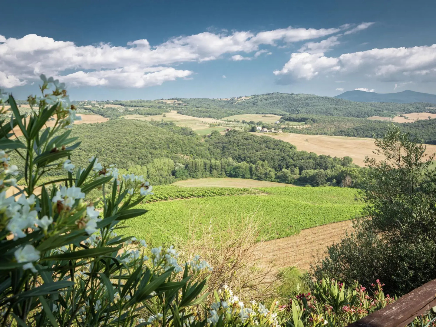 Villa Belle Vue: a Charm