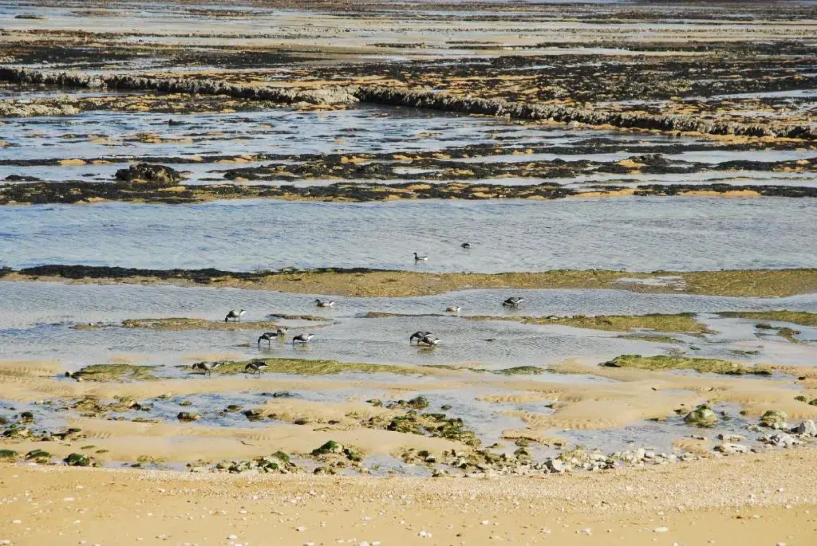 Le Logis du Port Paradis