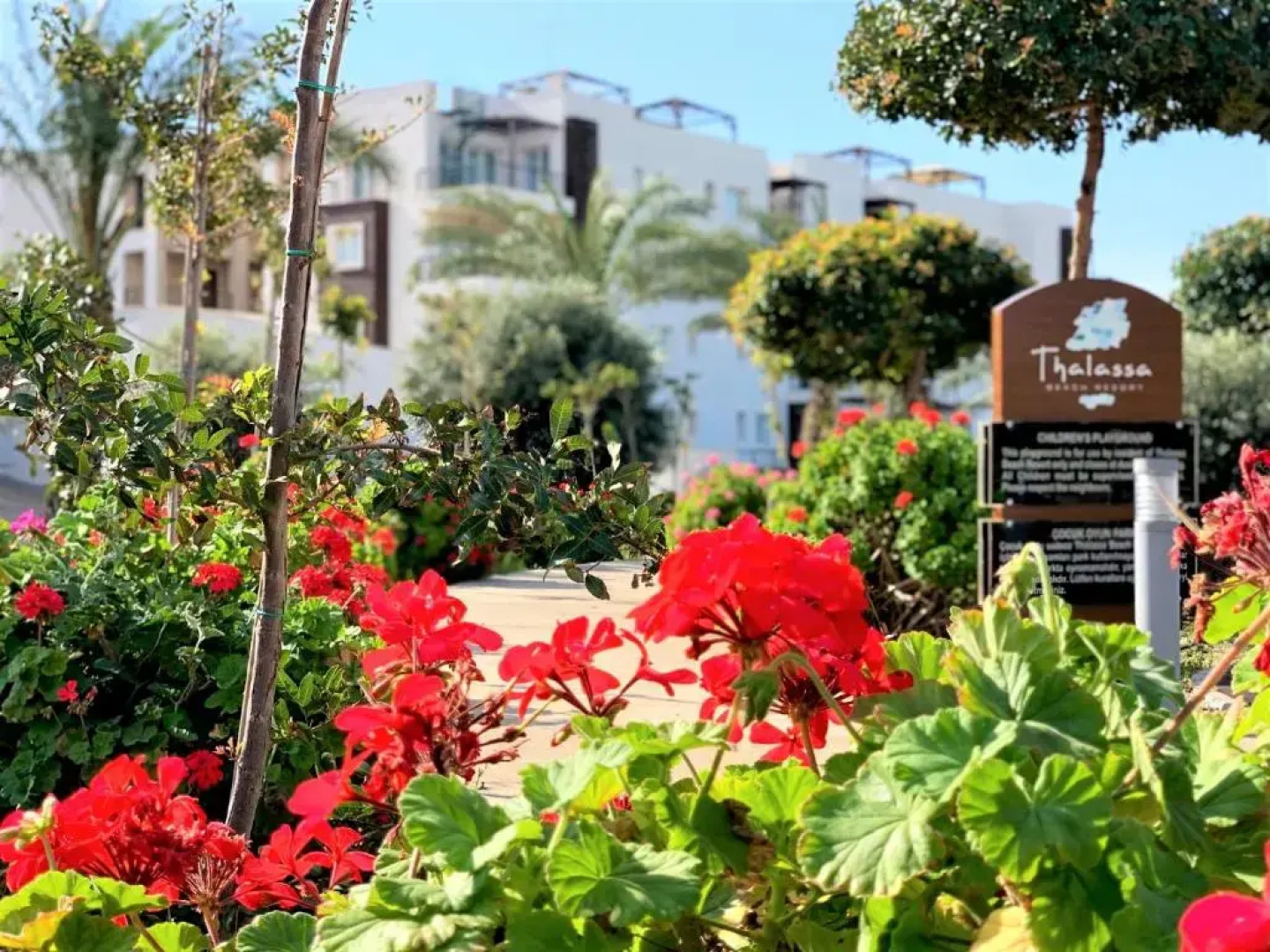 Relaxing Studio by the Sea