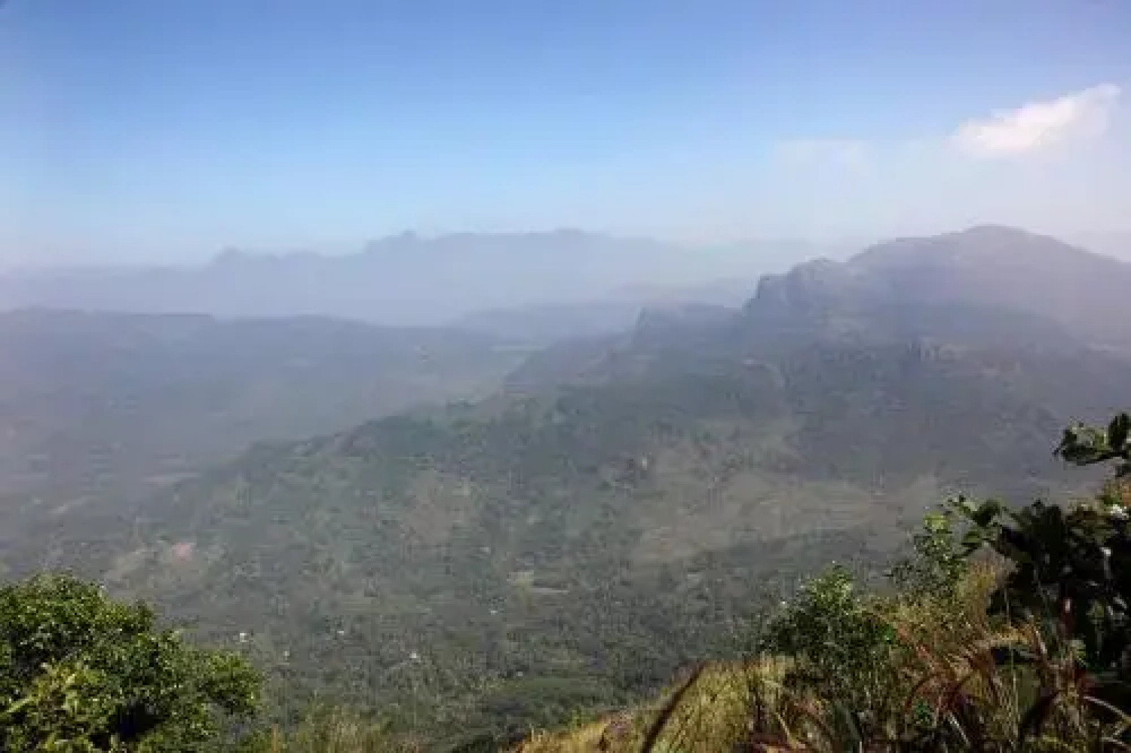 Bio Veda Ayurvedic Hill resort