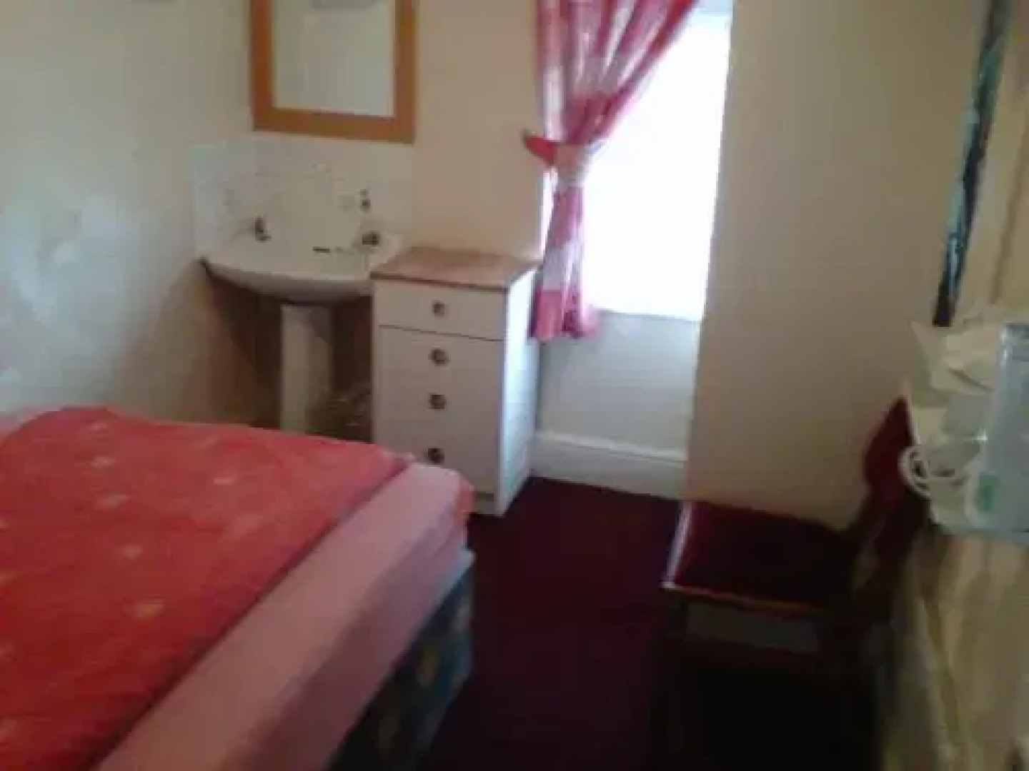 The Satter International