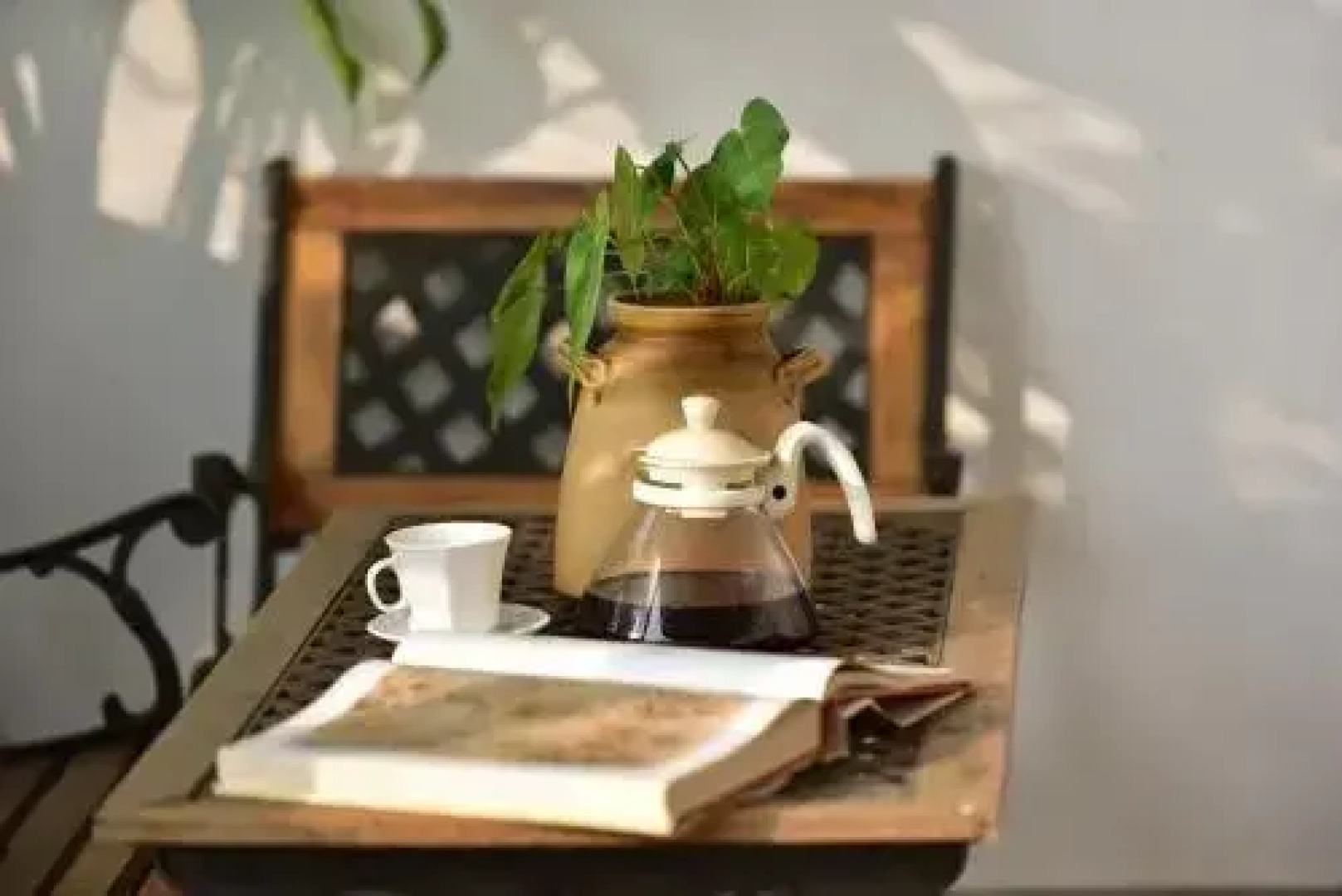 Tooth Mountain Farms