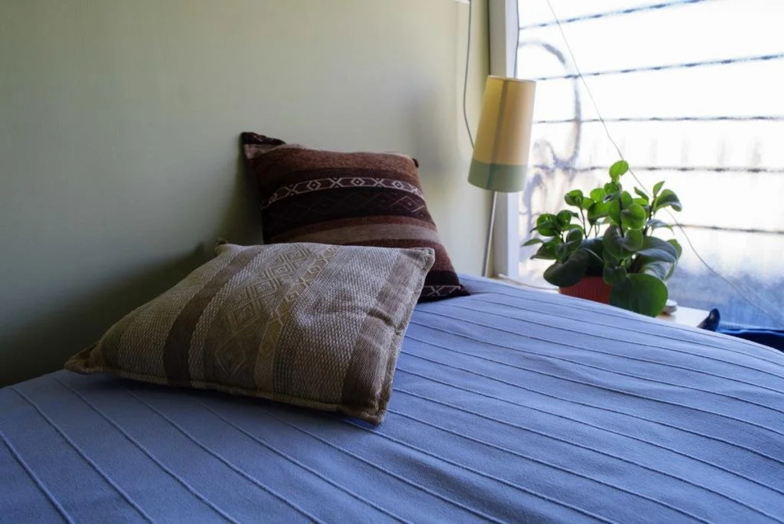 ibex unique Desert Inn