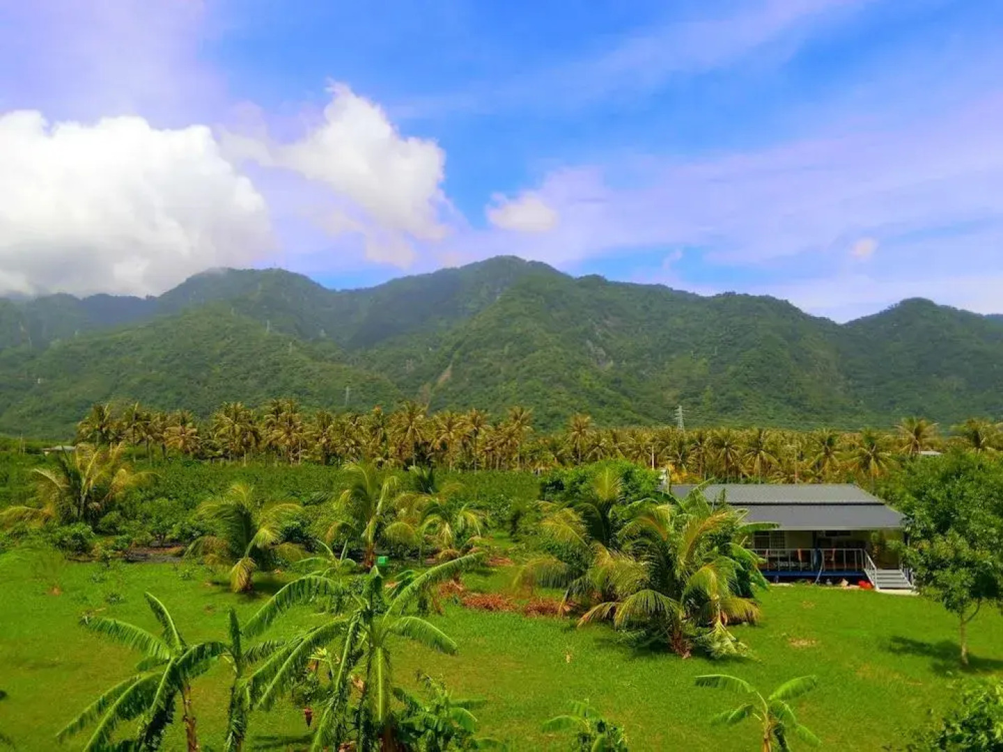 Angel Fairytale House