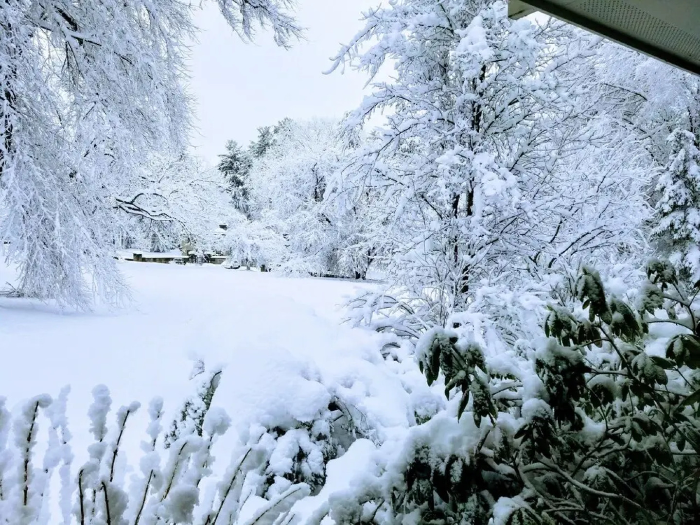 Journey Inn Bed & Breakfast