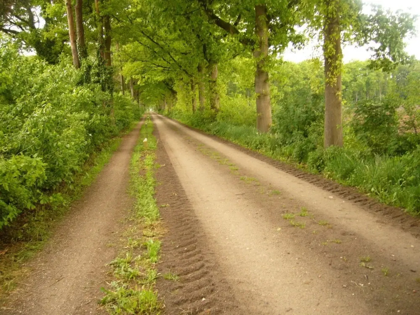 Spacious Holiday Home in Eibergen With a Terrace