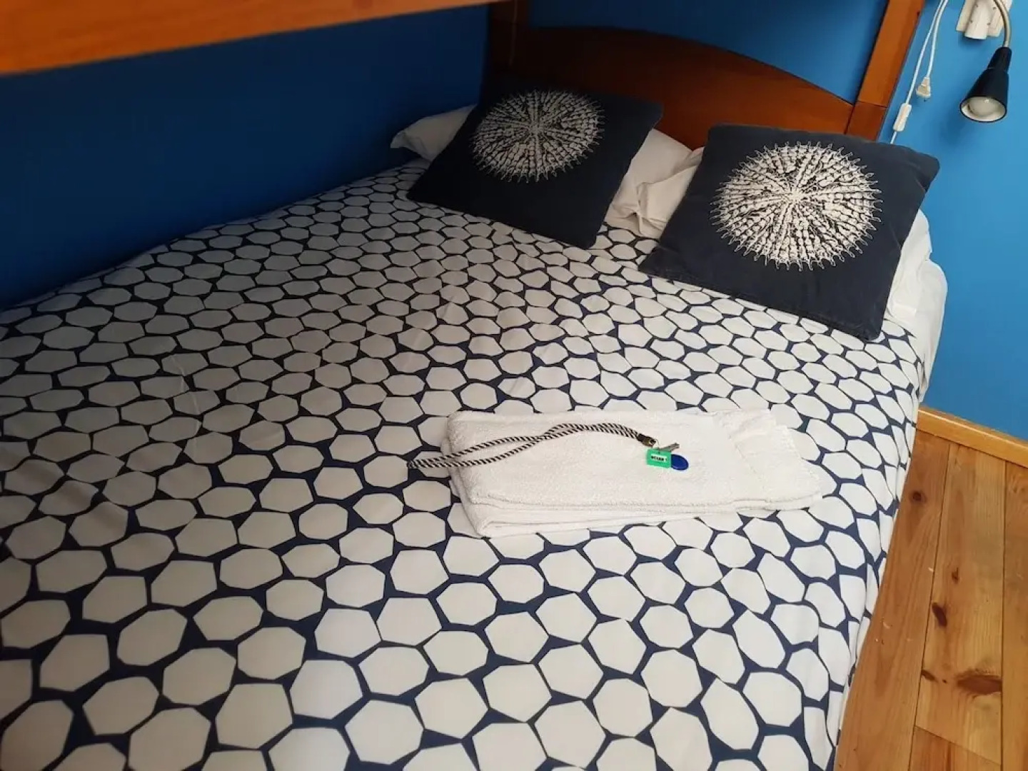 Sardines and Friends