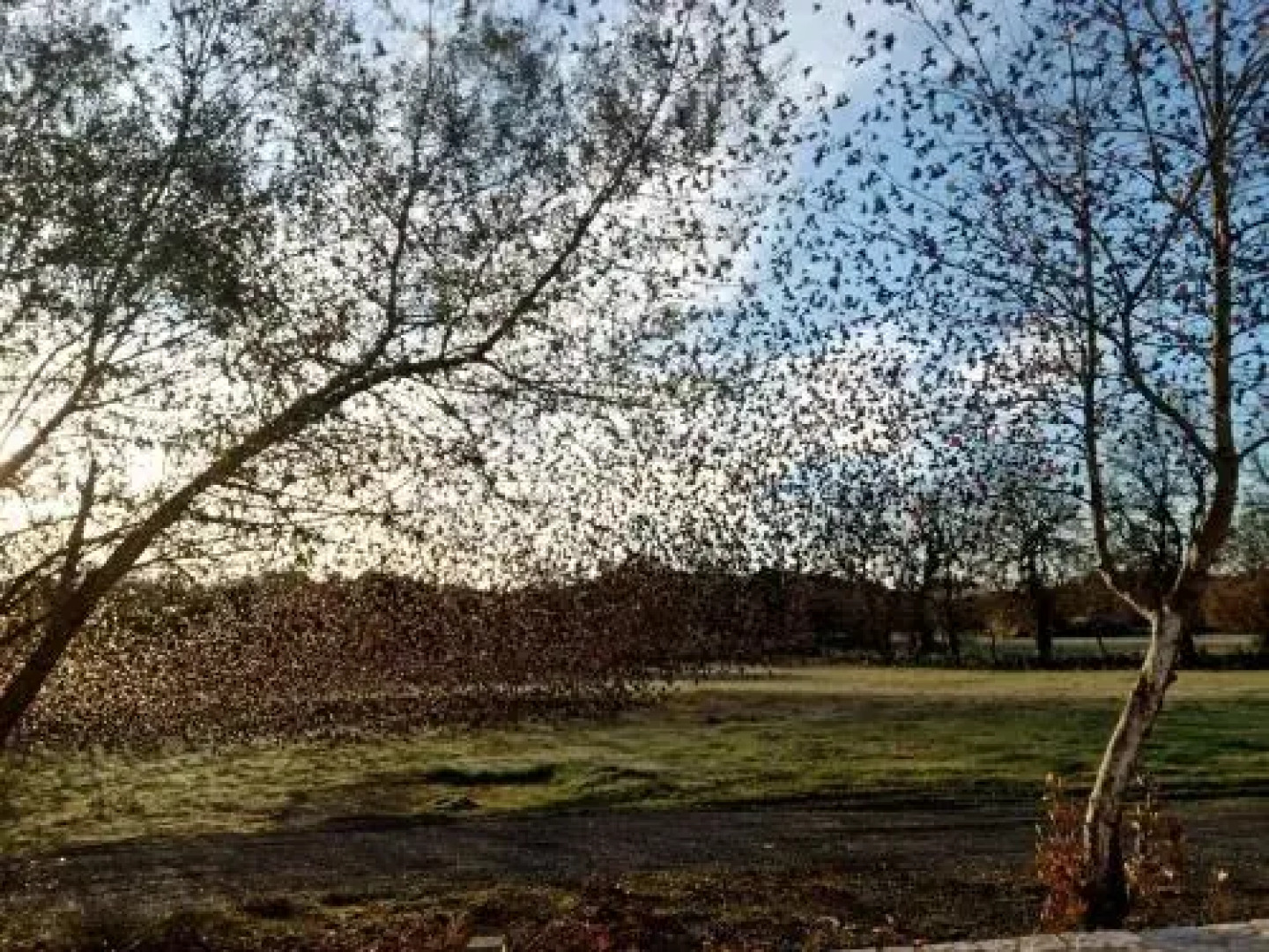 Arethoussa Polyhoros Pantazopoulou