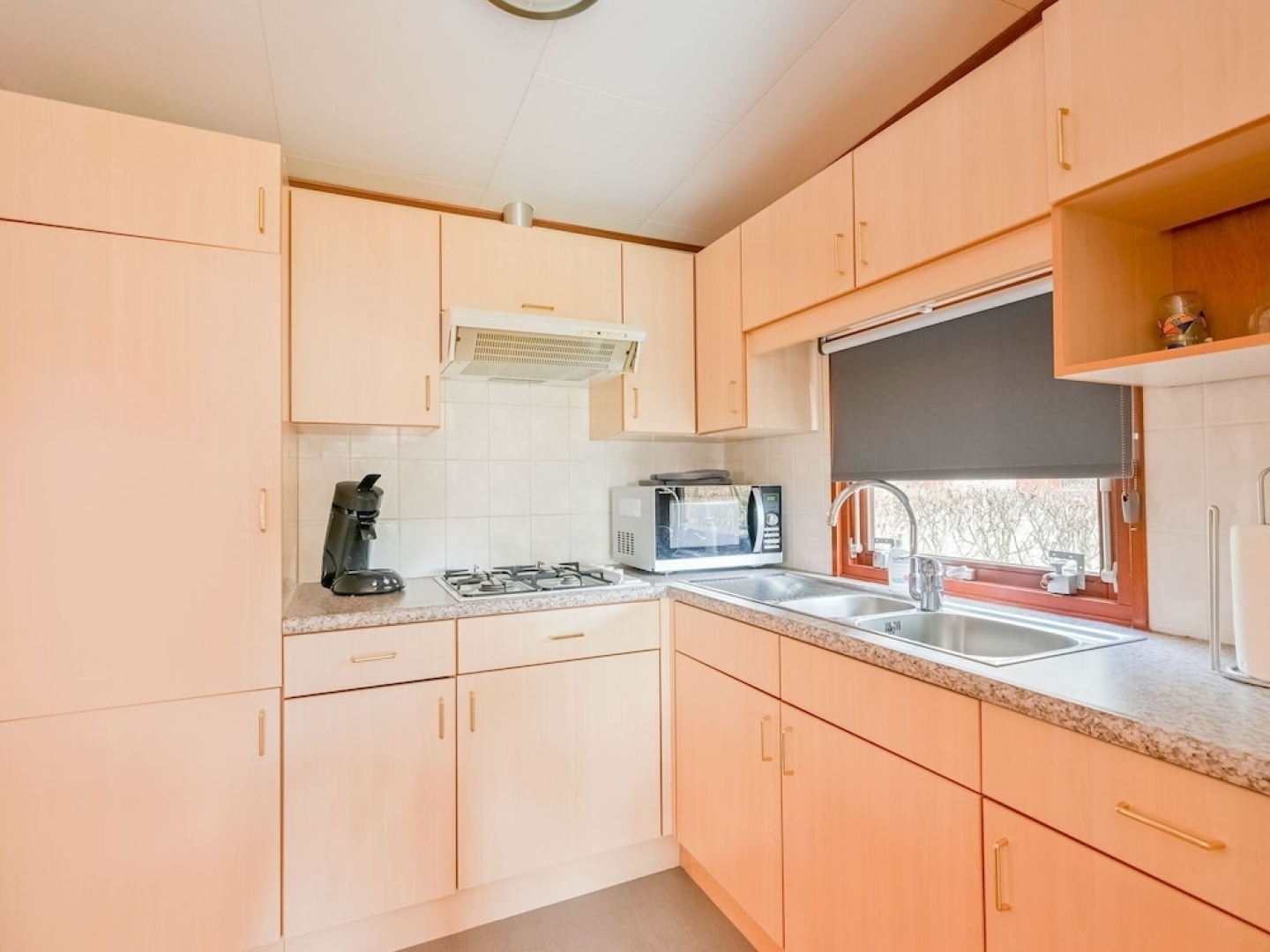 Pleasing Chalet in Stegeren near Forest