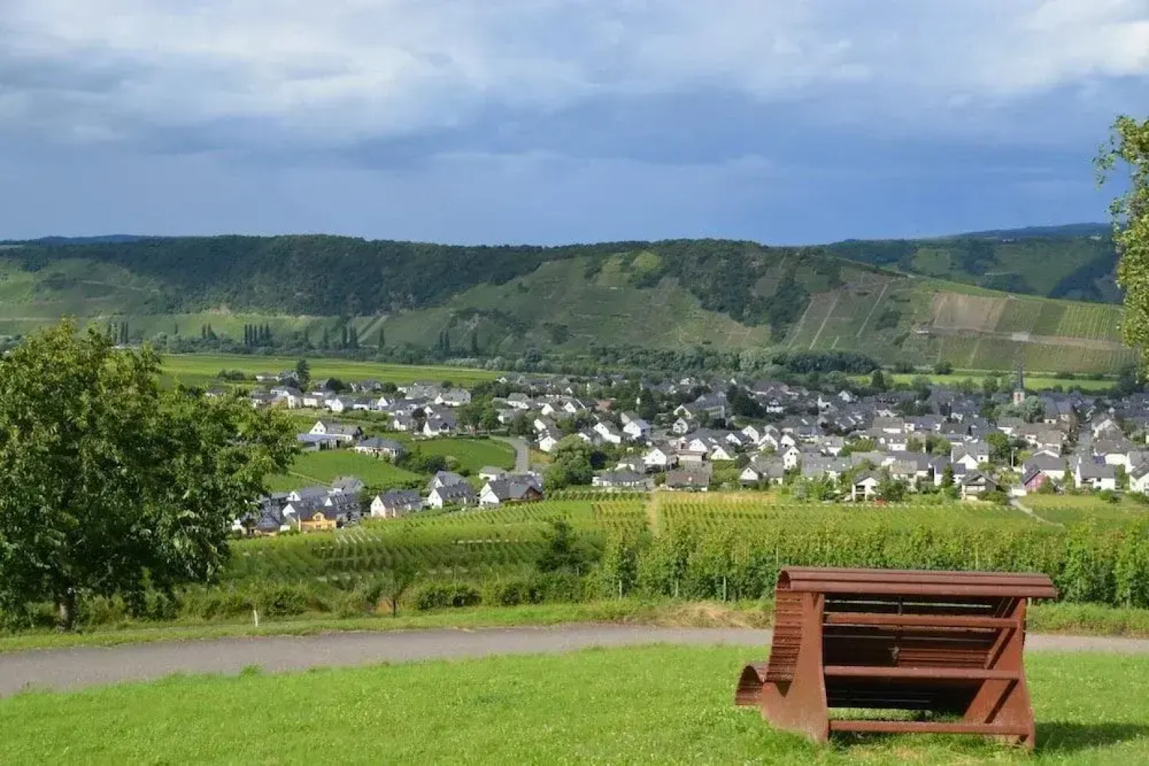 Weingut***Pension Günther Scholtes
