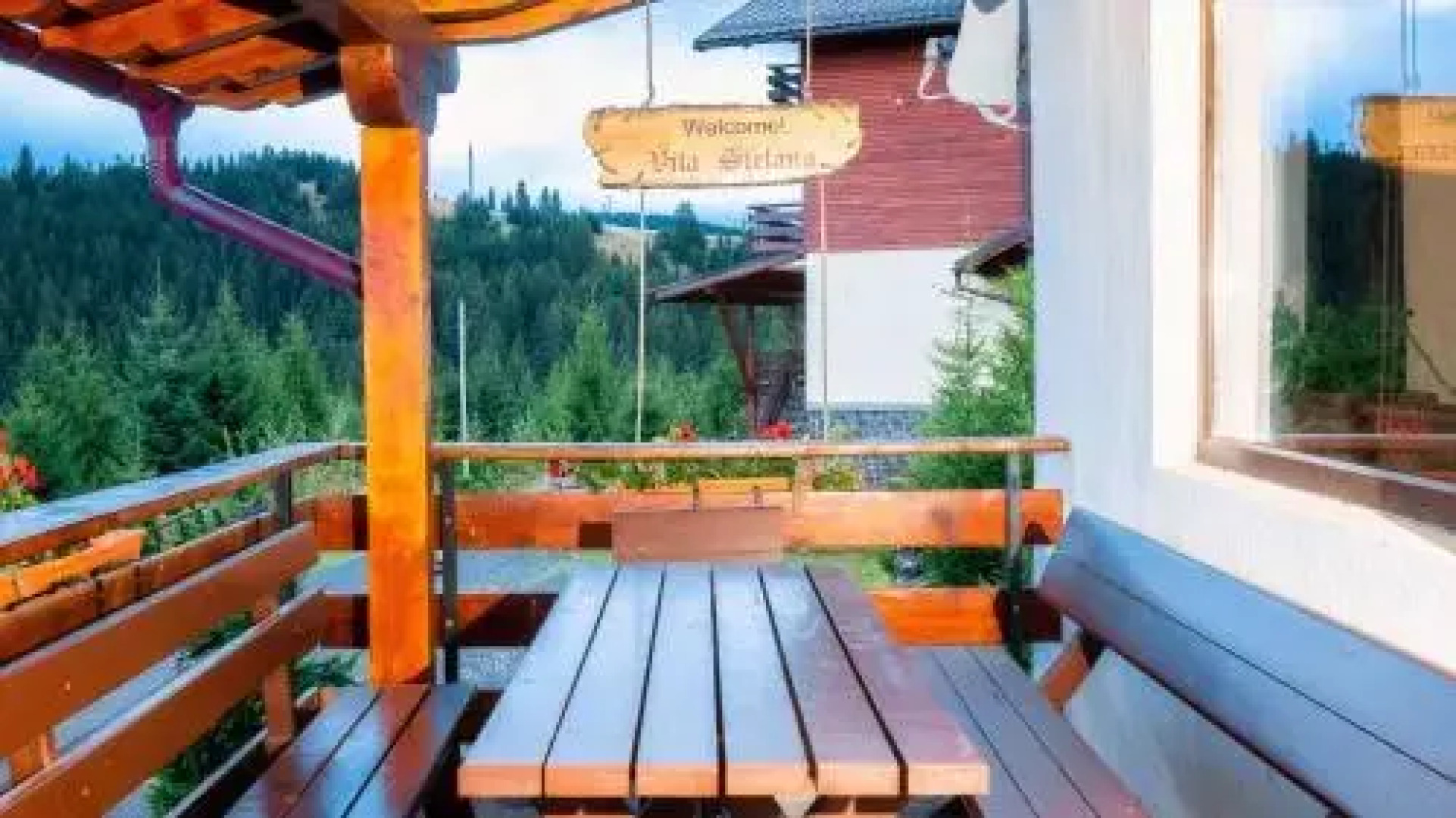 Vila Stefana Paltinis