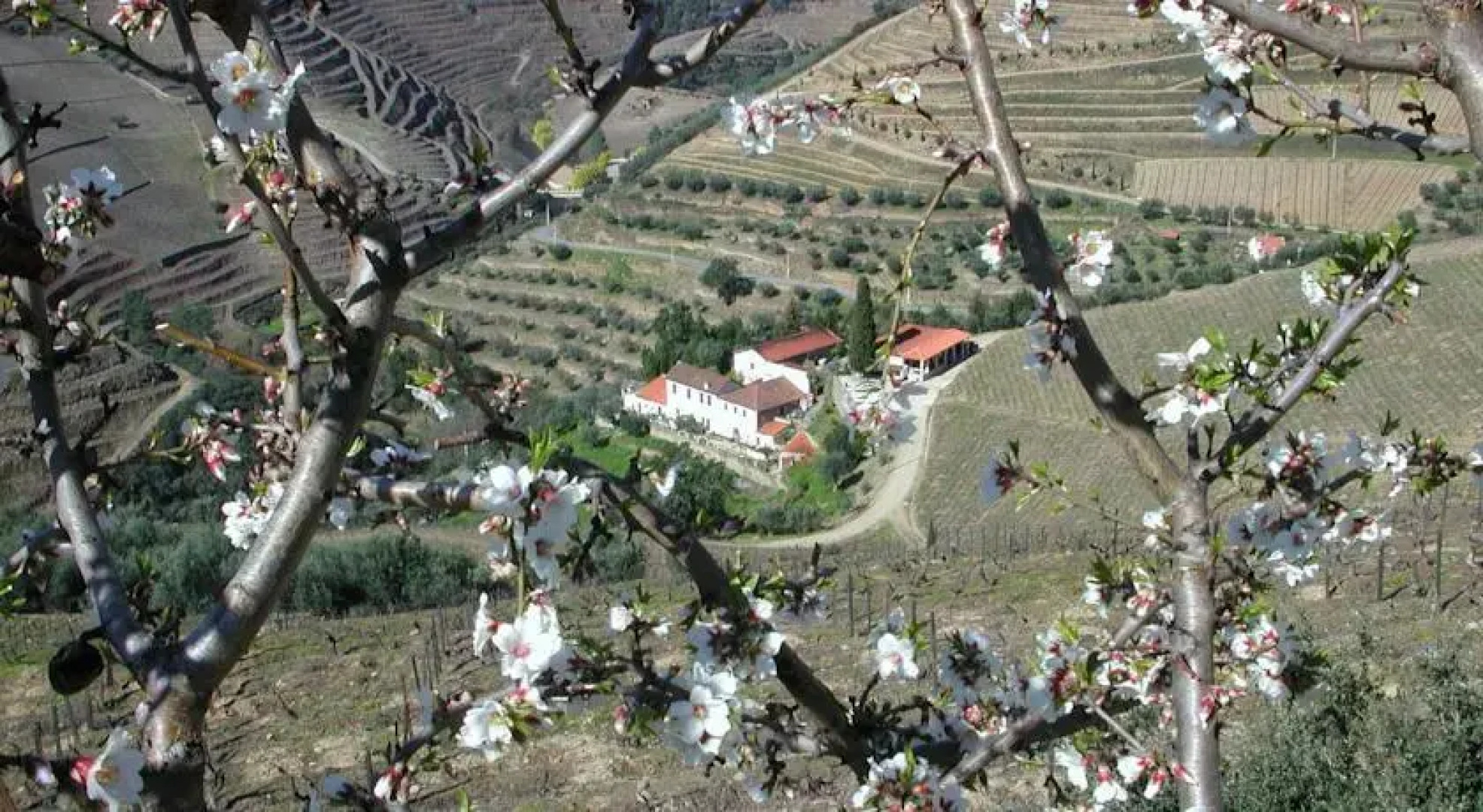 Quinta do Passadouro