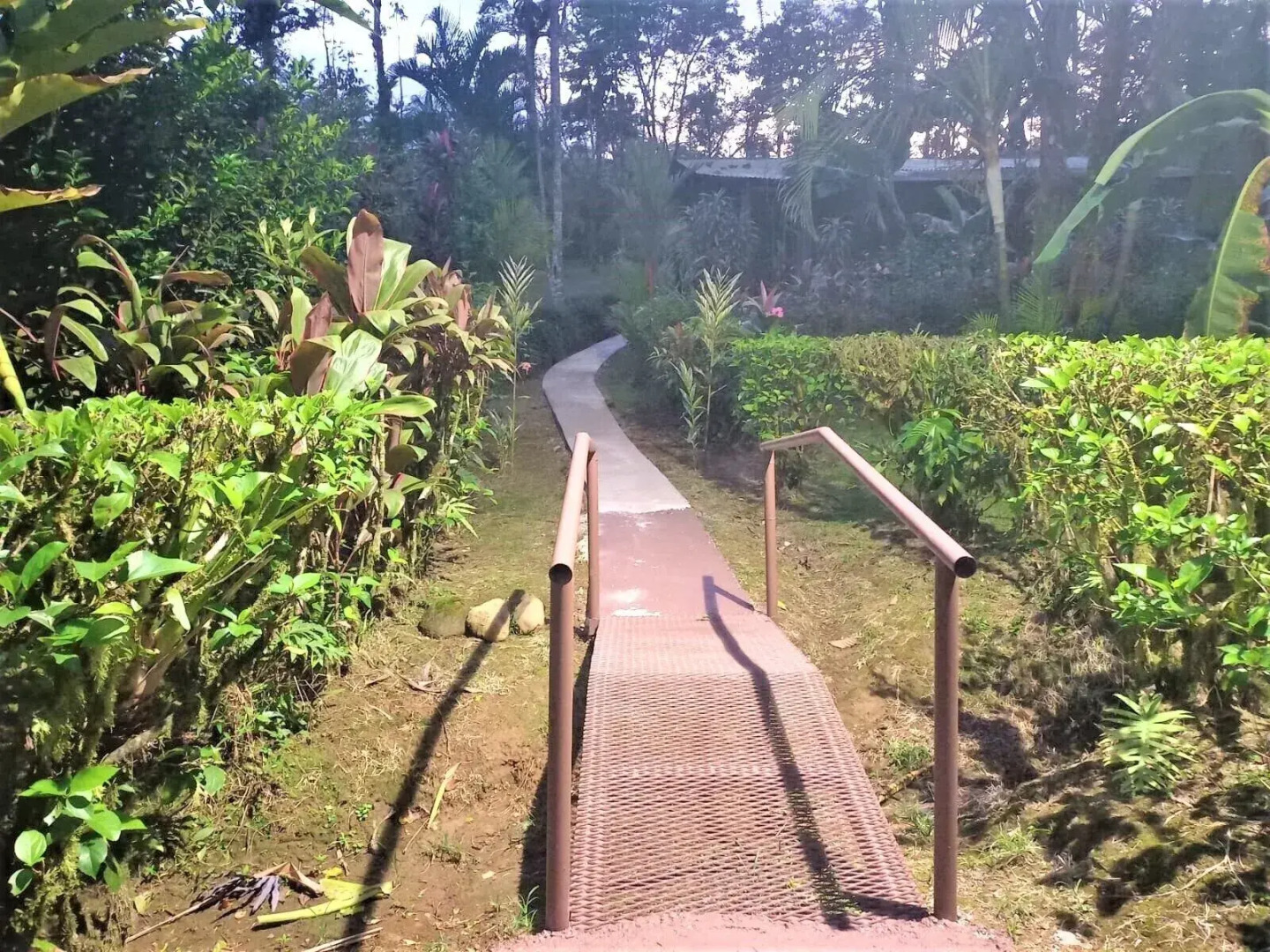 Rio Celeste Nature View