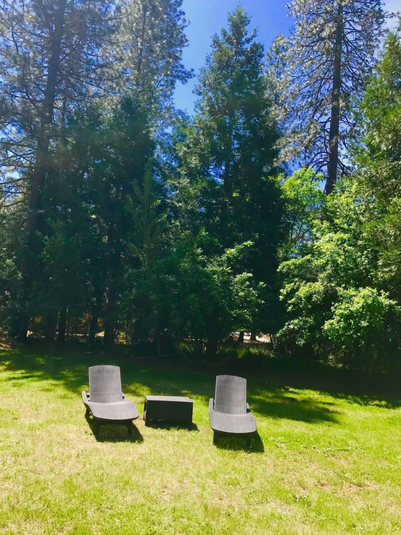 The Pines Inn and Cottages