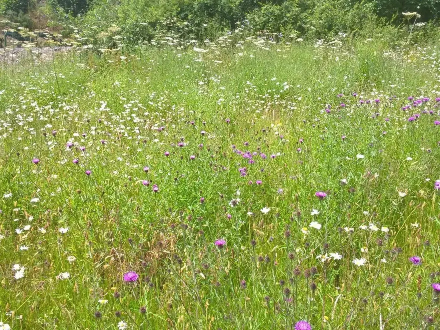 The Gatehouse at Cwmweeg