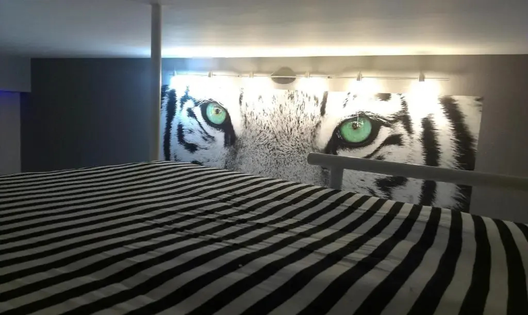 White Tiger in New Gudauri II