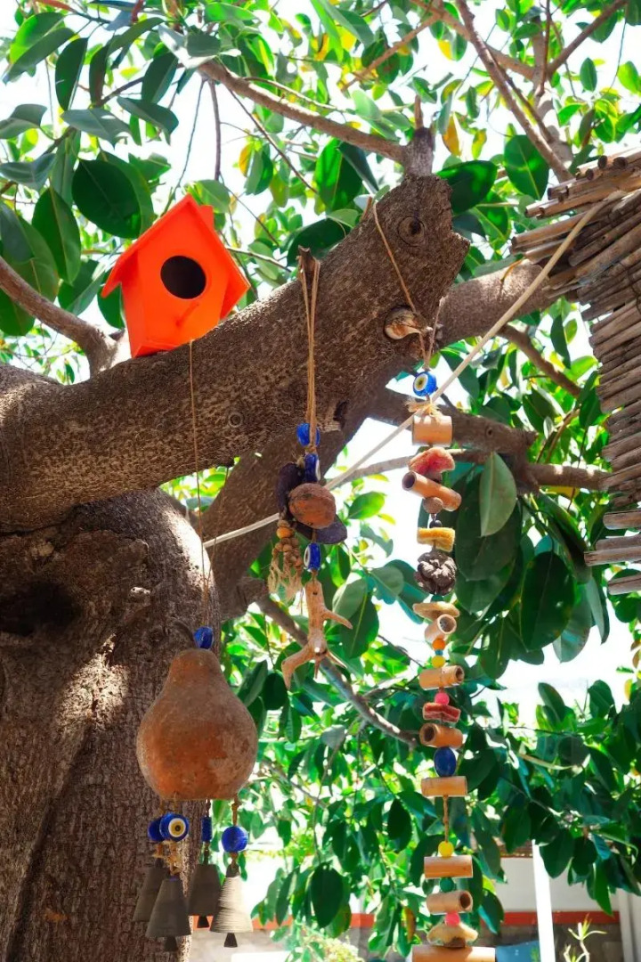 Oya Boutique Hotel & Suites