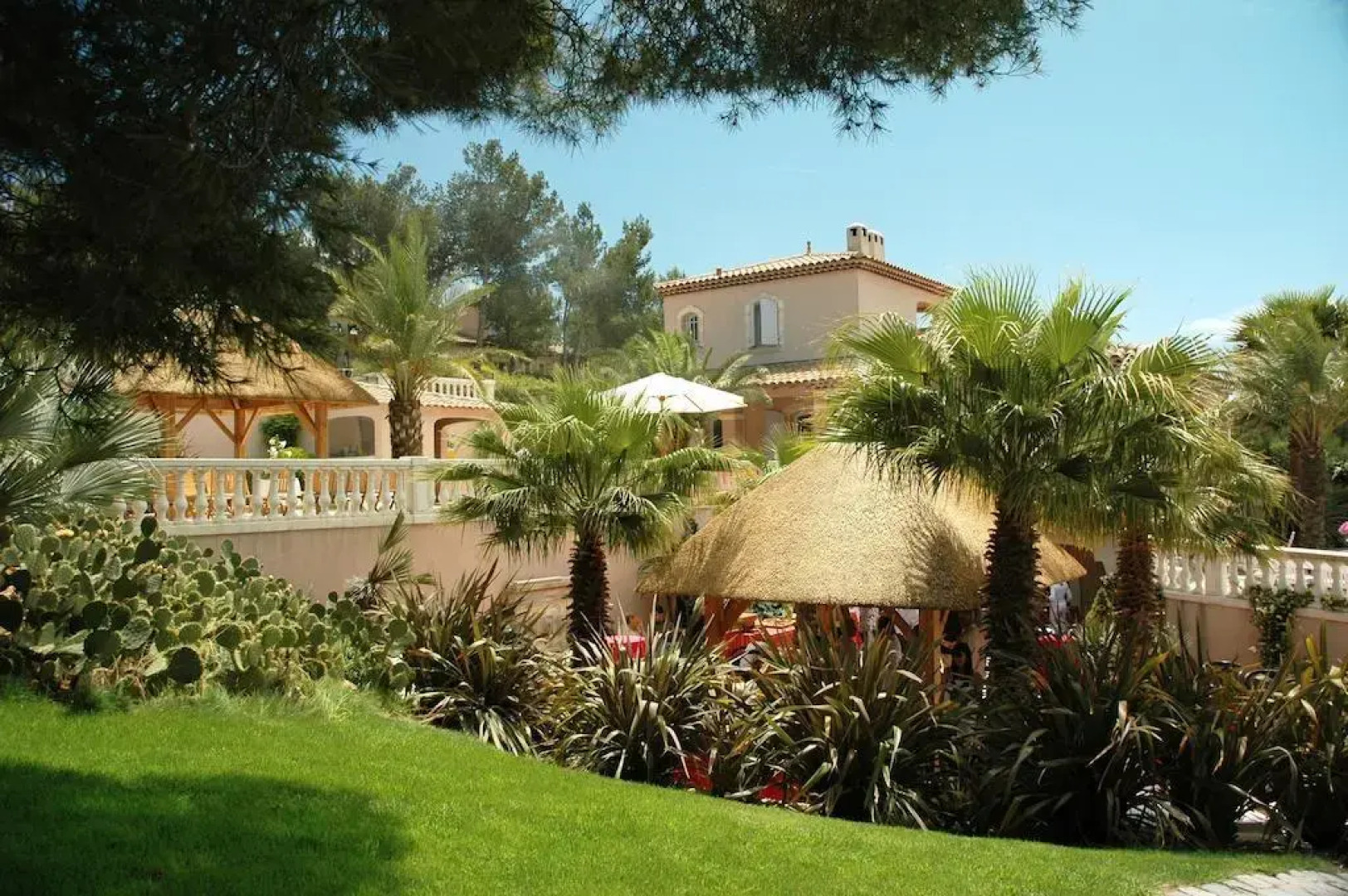 La Palmeraie des Calanques